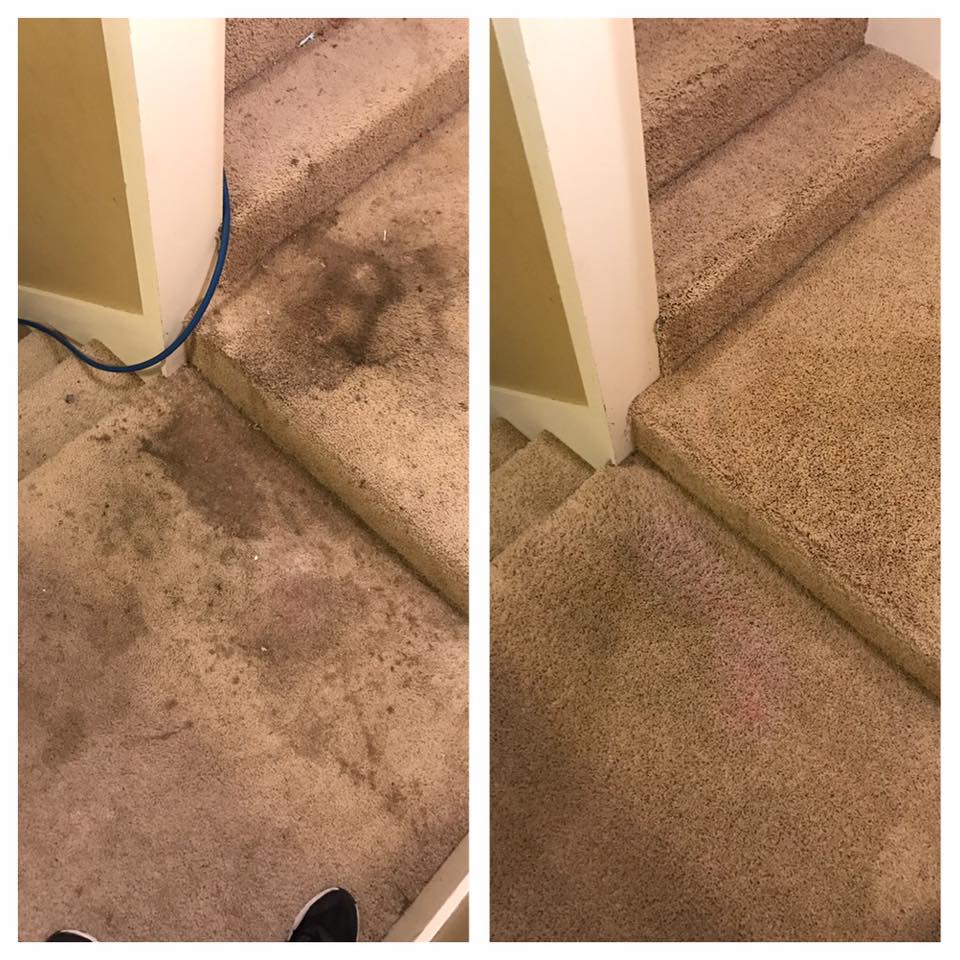 carpet before and after cleaning