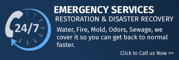 emergency services
